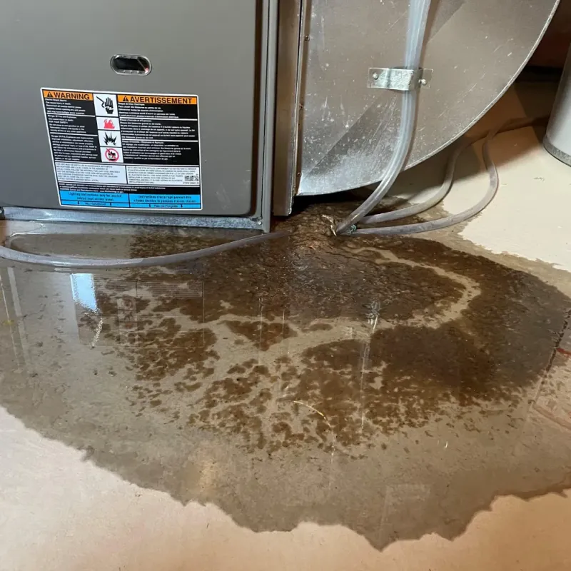 Appliance Leak Cleanup in Vernon County, MO
