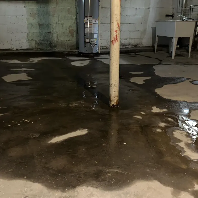 Emergency Water Extraction And Removal in Vernon County, MO